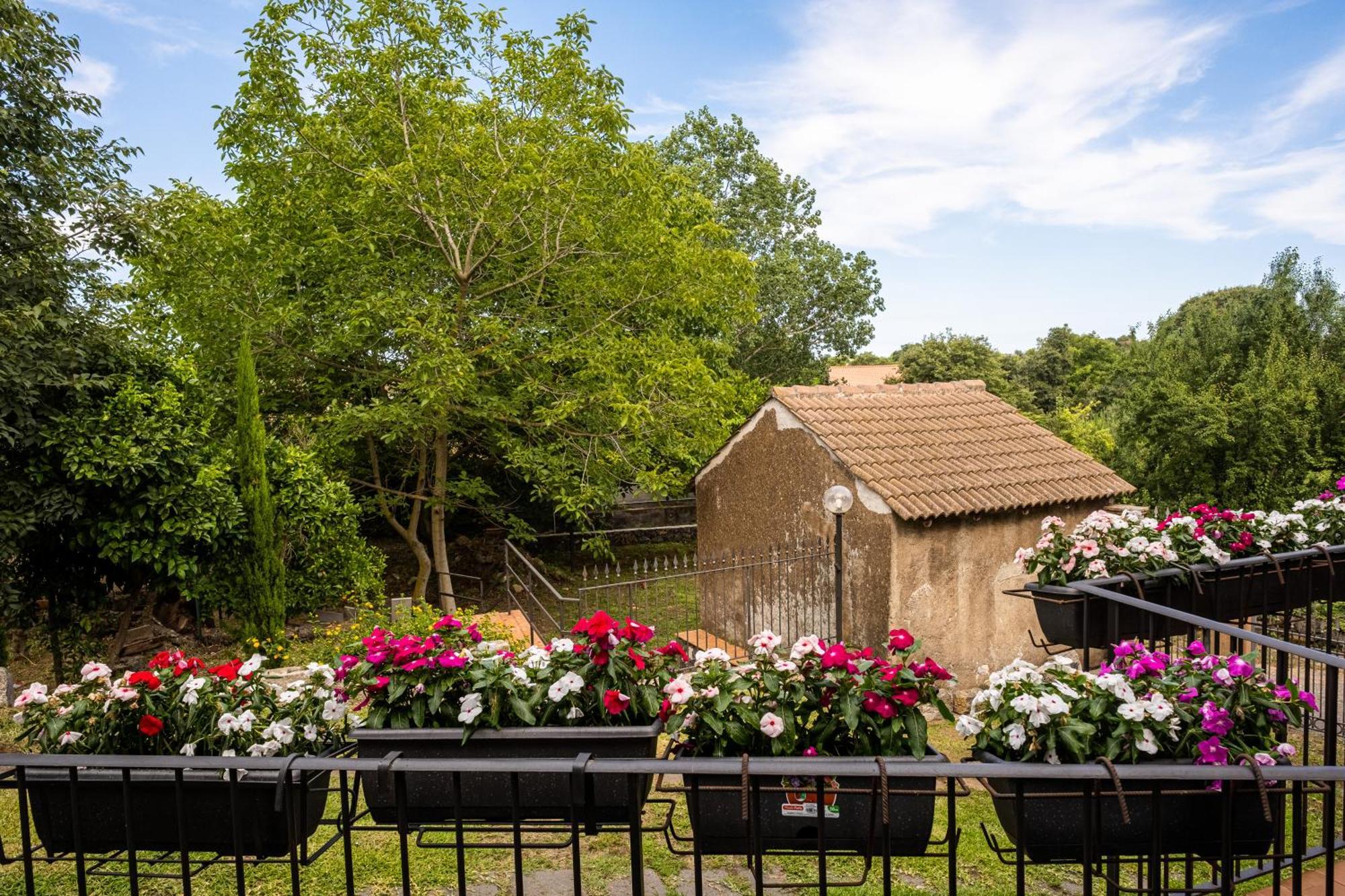 Domus Vini Villa San Giovanni La Punta Dış mekan fotoğraf