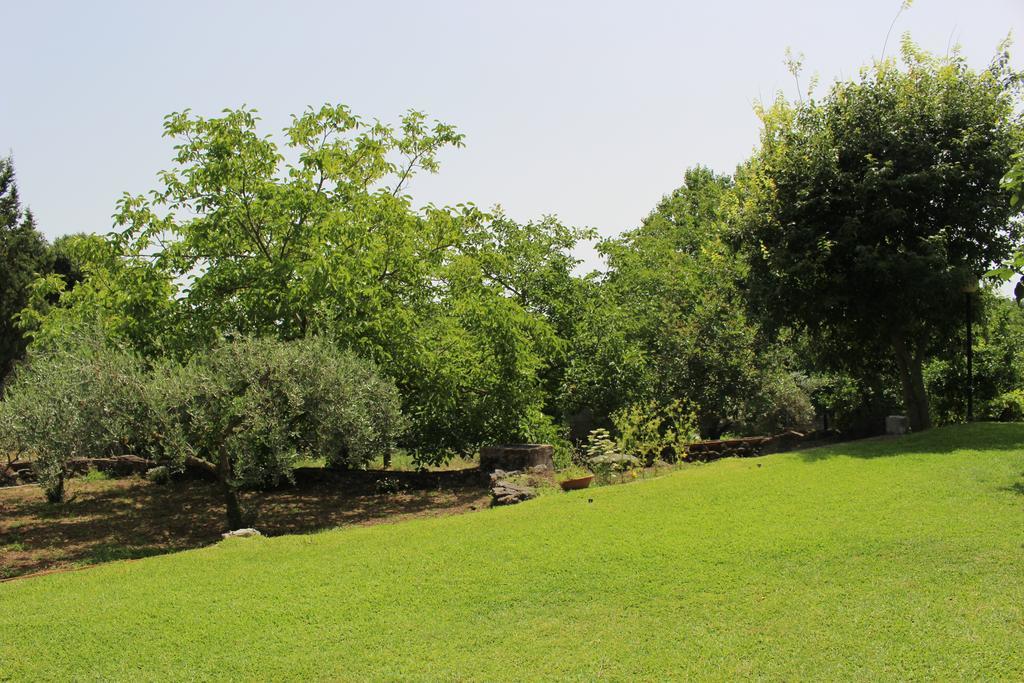 Domus Vini Villa San Giovanni La Punta Dış mekan fotoğraf